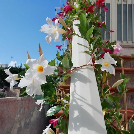 Casa Vacanza Anacapri Sunrise Dış mekan fotoğraf