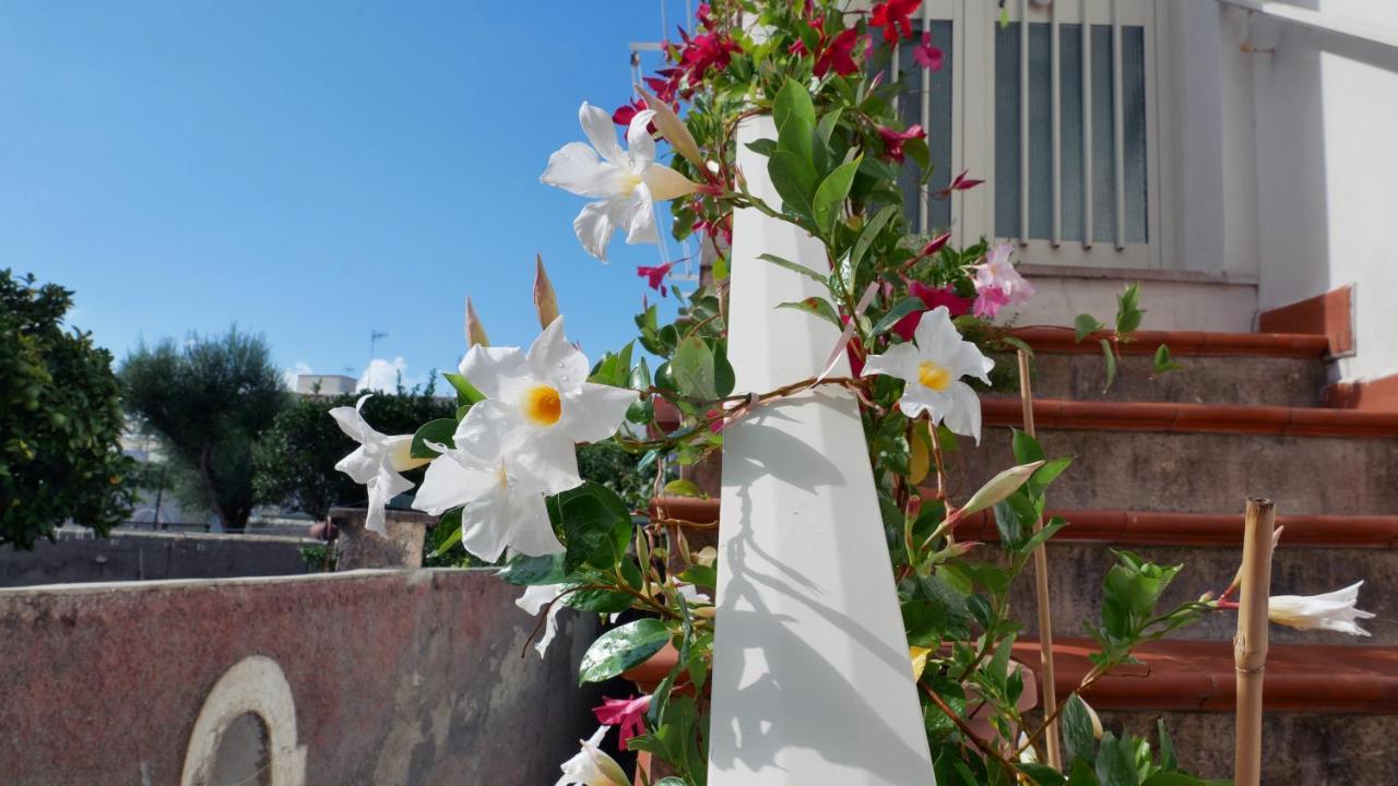 Casa Vacanza Anacapri Sunrise Dış mekan fotoğraf