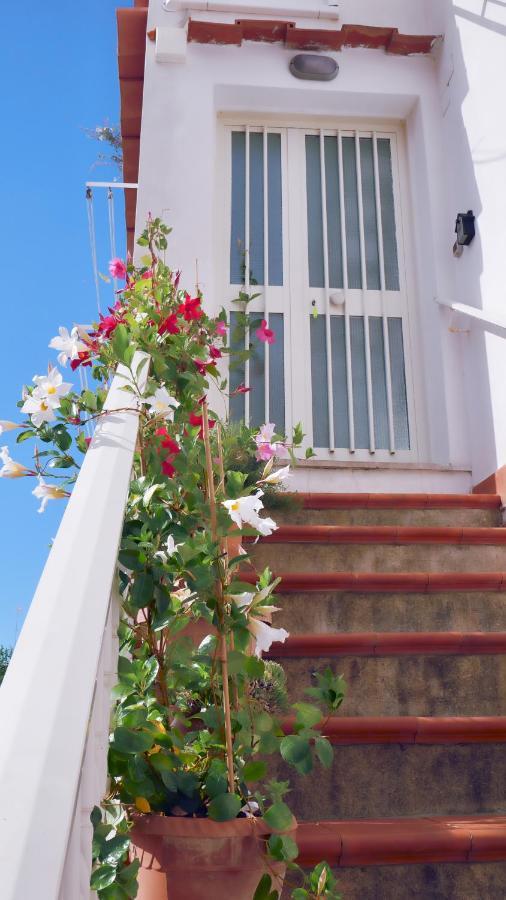 Casa Vacanza Anacapri Sunrise Dış mekan fotoğraf